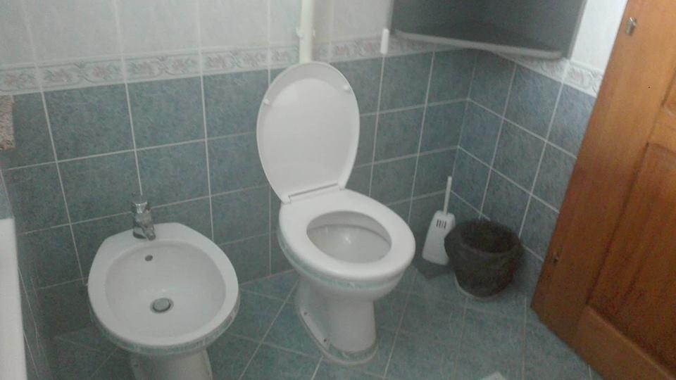 Domacinstvo Opavski Backi Petrovac Exteriör bild
