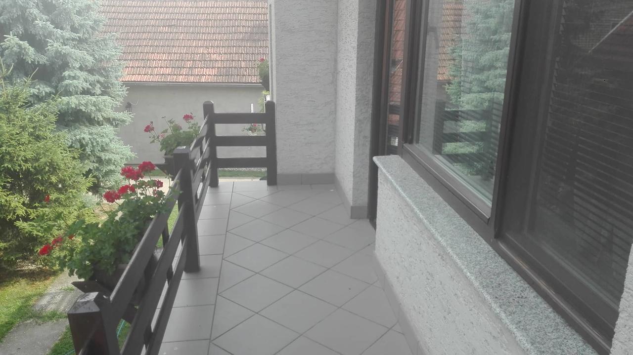 Domacinstvo Opavski Backi Petrovac Exteriör bild